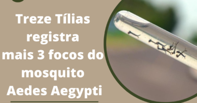 Treze Tílias registra mais 3 focos do mosquito Aedes Aegypti